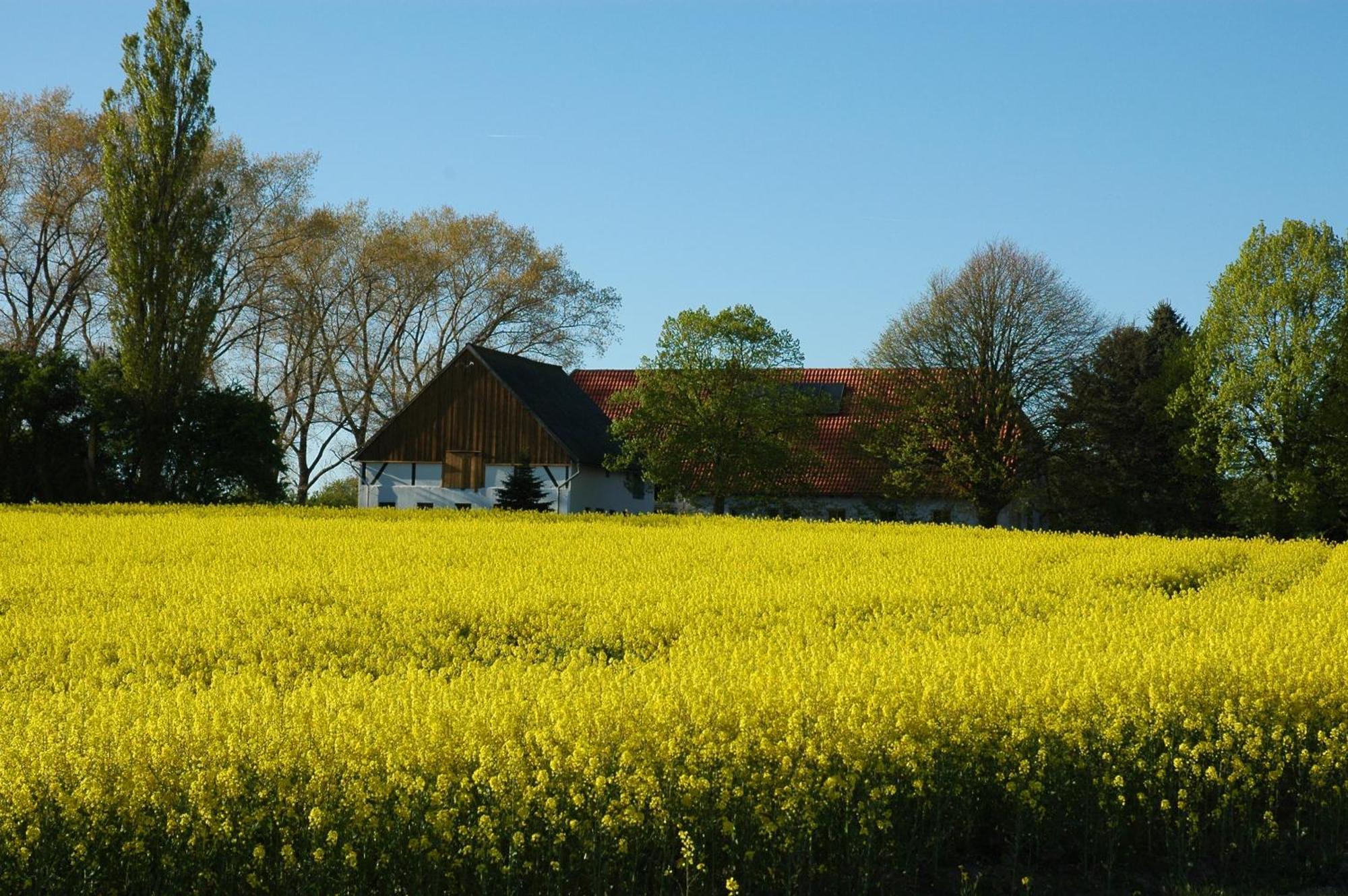 Holsteinhaus-Zirmoisel Ruhe Und Natur Eigene Sauna Apartment Rappin Exterior foto